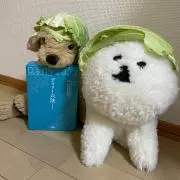 バブーフ応援団長　白そらたんとその仲間