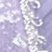 みの画像