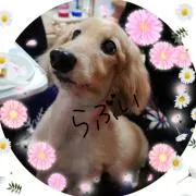 ちぃ