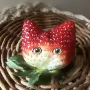 苺猫の画像