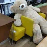 こんぱちの画像