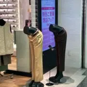 大石の画像
