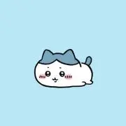 Kの画像