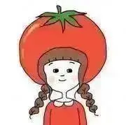 Orange Tomatoの画像