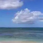 なーこ☑︎プロフみねての画像