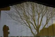 SodaTora Neの画像