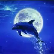 aqua marine [プロフ必読]の画像
