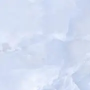 くももの画像