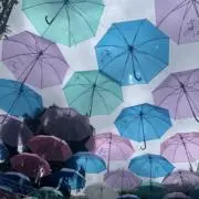 ru_wwwの画像