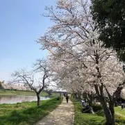 あやの画像