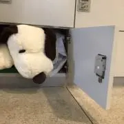 アイスクリームの画像