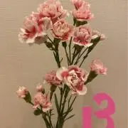 ☆れっと☆絶賛断捨離中❣️の画像