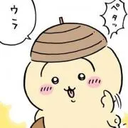いちょうの画像