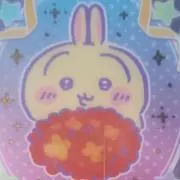 うさぎの画像
