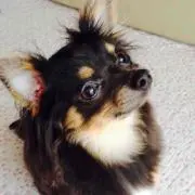 にこ