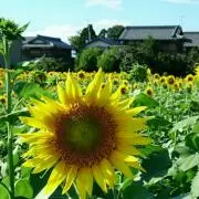 はるくろママん⚠⚠プロフ必読⚠⚠⚠