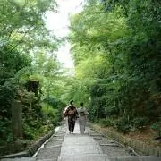 PARA