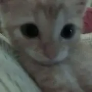 luvの画像