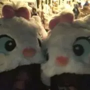 hap__31の画像