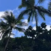 Y&Hママの画像