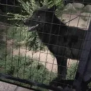 まきまき