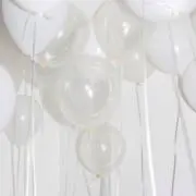 ちゃまの画像