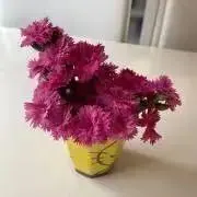 kiraママ