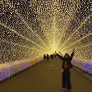 ゆめの画像