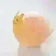 みかん《商品出品中》の画像