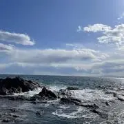 シュークリームの画像