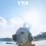 みたまの画像