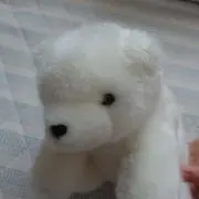 土日祝日発送休止中☆しろくまの画像