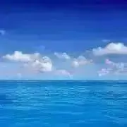 ひろの画像