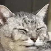 た・ω・ま