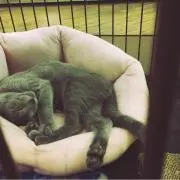 ゆう