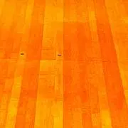 秋