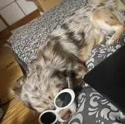 きち