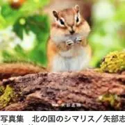 こりす