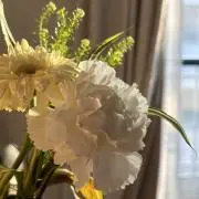 アマニ