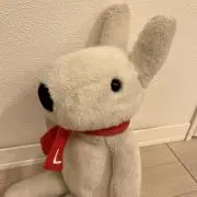 りさこ