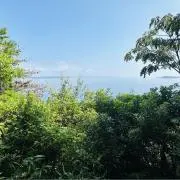 ソナチネの画像