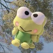 mahoの画像