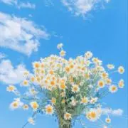 mi_naの画像