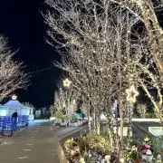 値下げ交渉可♩たぬき