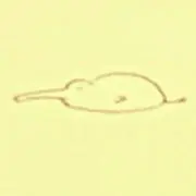 M プロフ必読の画像