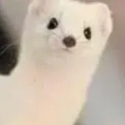 ぷしゅの画像