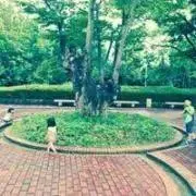 aeの画像