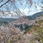 なないろの画像