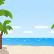 n.n.の画像