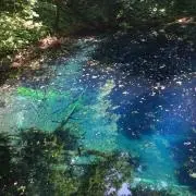 RCプロフ必読の画像